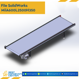 Mini Belt Conveyor : MiiA600L2500H350