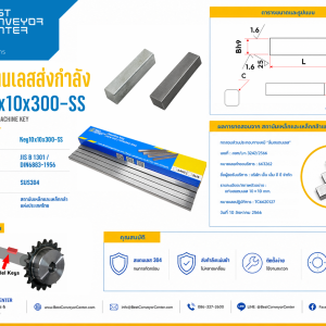 Key10x10x300-SS