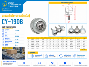 CY-19DB