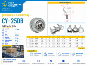 CY-25DB