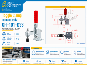 GH-101-DSS