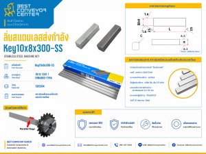 Key10x8x300-SS