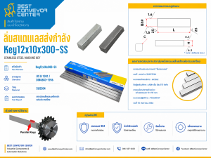 Key12x10x300-SS