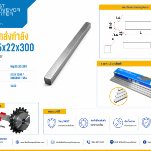 Key35x22x300