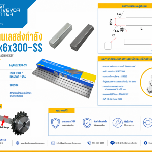 Key6x6x300-SS