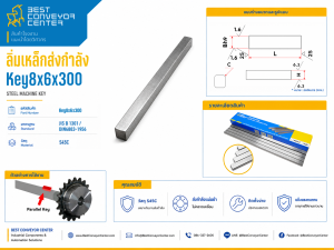 Key8x6x300