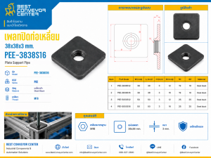 PEE-3838S16