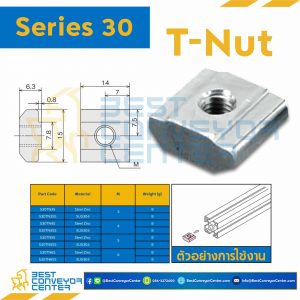 T NUT S : Series 30 Steel Zinc M3 : S30TN3S
