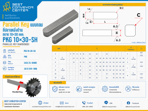 PKG 10×30-SH