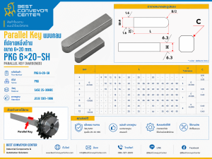 PKG 6×20-SH