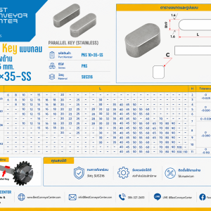 PKS 10×35-SS