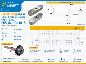 PKS M4-10×40-SH