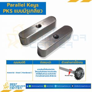 Parallel Key แบบกลม รูเกลียว M4 ที่ปลายทั้งสองด้าน ขนาด 10xL40 mm. เหล็กชุบแข็ง : Parallel Key PKS M4-10x40-SH