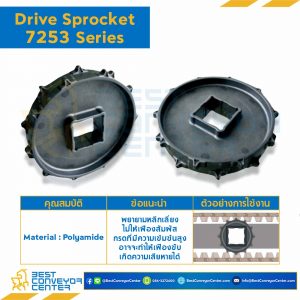 SPROCKET 20Z, BORE 40x40 MM., DIA 159.95 MM. FOR CHAIN 7253 : 6320220-7253