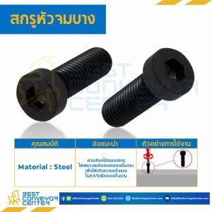 สกรูหัวจมบาง ขนาด M10x16 mm. : HSL-M10L16B