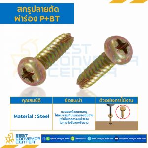 สกรูเกลียวเหล็กปลายตัดผ่าร่อง P+BT ขนาด M2x10 mm. : HSPBT-M2L10