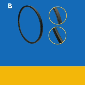 B