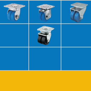 Caster Dual Wheel Type