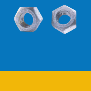 Hex Nuts HDG