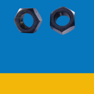 Hex Nuts NC