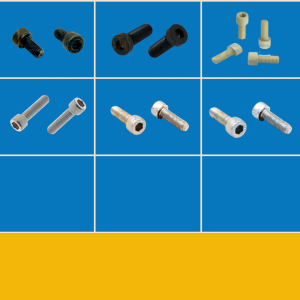 Hexagon Socket Head Cap Screws