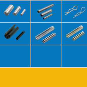 Pin