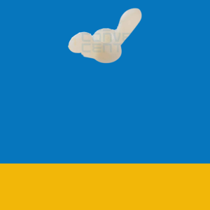 Plastic Wing Nut