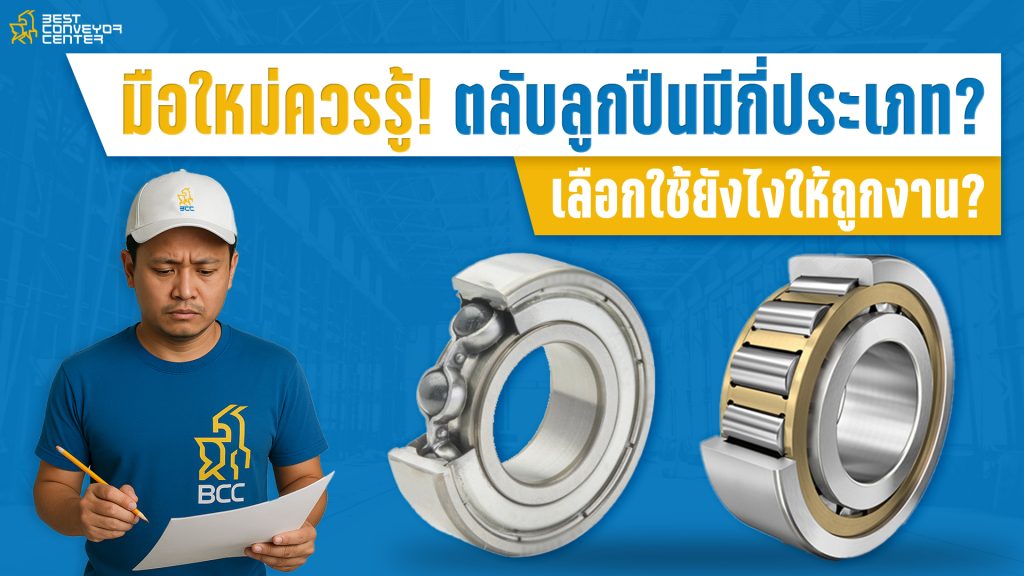 ตลับมีกี่ประเภท