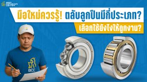 ตลับมีกี่ประเภท