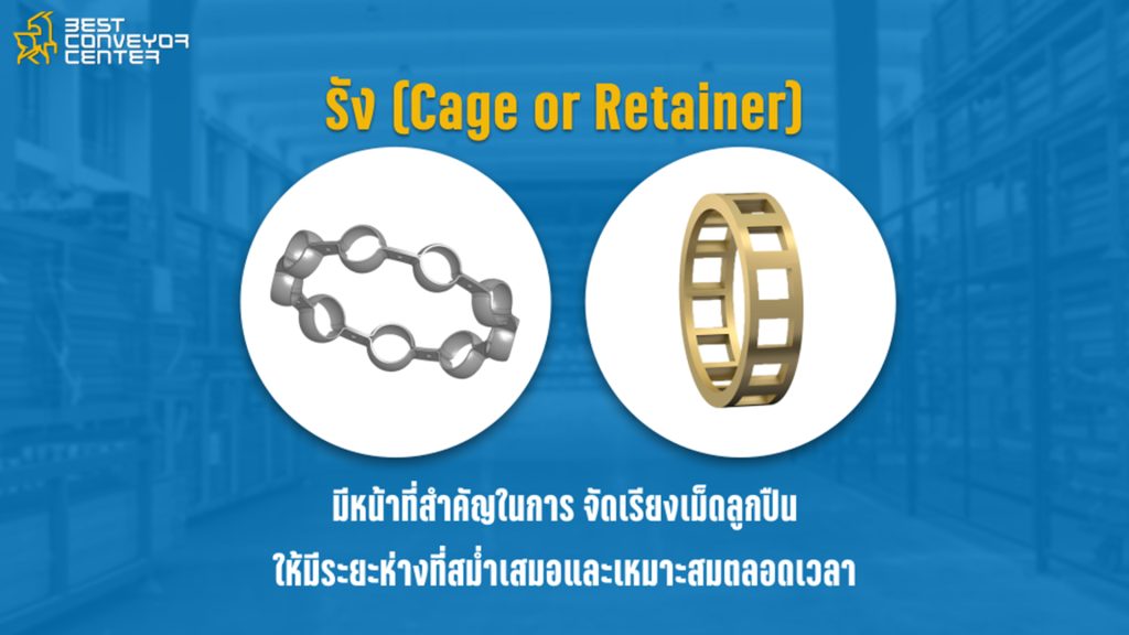 รัง (Cage or Retainer)