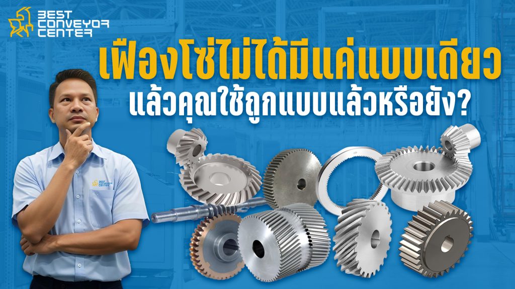 เฟืองโซ่มีกี่ประเภท?