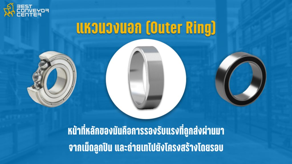 แหวนวงนอก (Outer Ring)