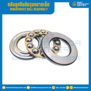 ตลับลูกปืนกันรุนขนาดเล็ก F รูเพลา 10 mm. : F10-18M