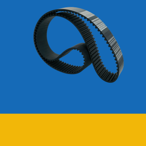 Variable Speed Belt