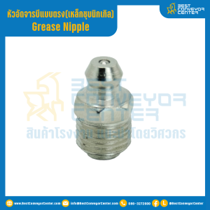 หัวอัดจารบีเหล็กชุบนิกเกิล แบบตรง : GNS1/8''x19.1