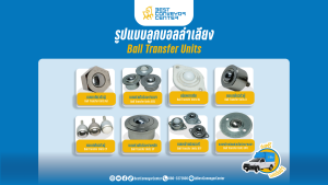 รูปแบบลูกบอลลำเลียง (Ball Transfer Units) มีกี่แบบ