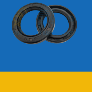 OIL SEAL