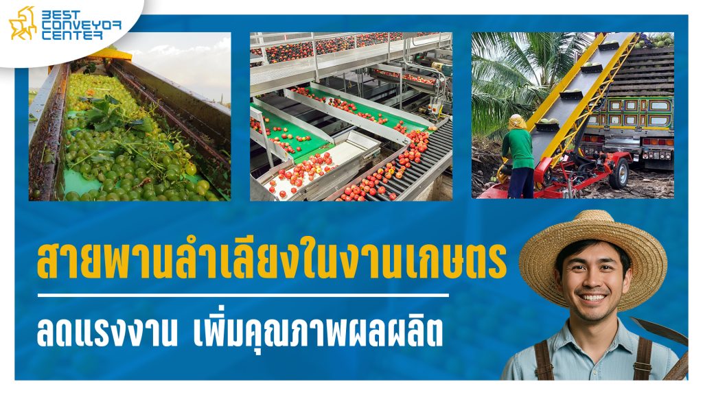 สายพานลำเลียงในอุตสาหกรรมการเกษตร