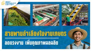 สายพานลำเลียงในอุตสาหกรรมการเกษตร