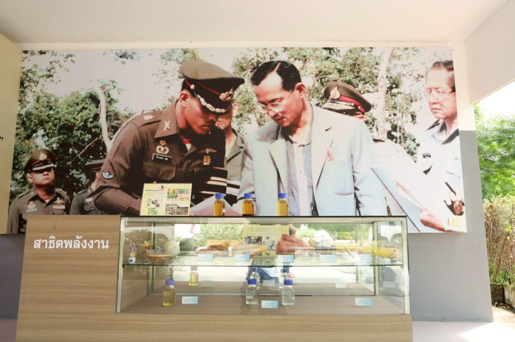 โครงการชั่งหัวมัน 1