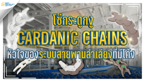 โซ่กระดูกงู Cardanic Chains คืออะไร?