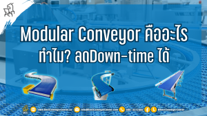 Modular Conveyor คืออะไร?