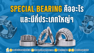 Special Bearing คืออะไร