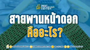 สายพานหน้าดอก คืออะไร?