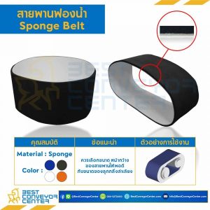 สั่ง สายพานฟองน้ำ Sponge Belt